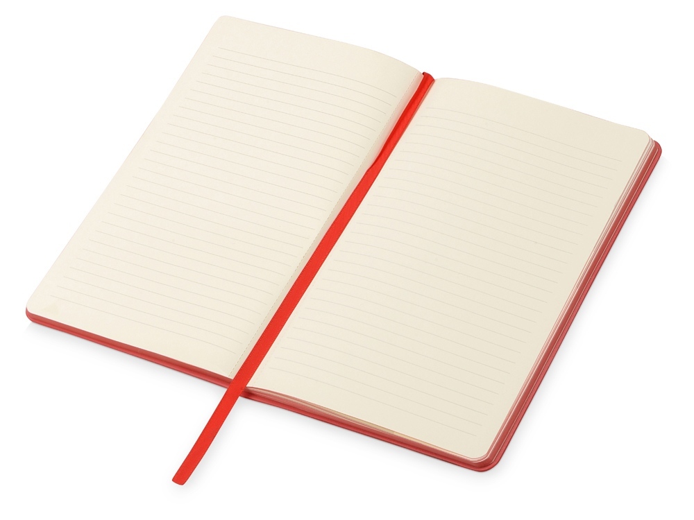 картинка Подарочный набор Notepeno с блокнотом А5, флешкой и ручкой 