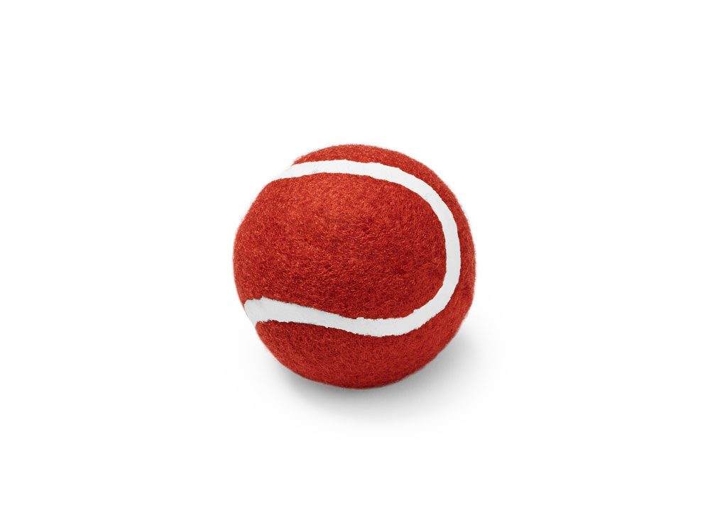 картинка Мяч для домашних животных LANZA 